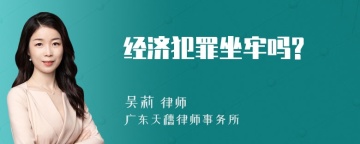 经济犯罪坐牢吗?