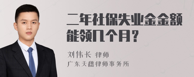 二年社保失业金金额能领几个月？