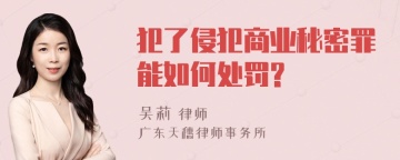 犯了侵犯商业秘密罪能如何处罚?