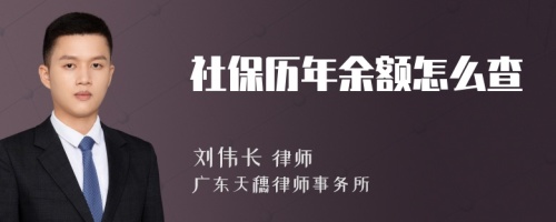 社保历年余额怎么查