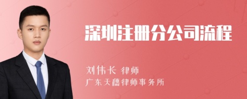 深圳注册分公司流程