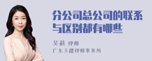 分公司总公司的联系与区别都有哪些