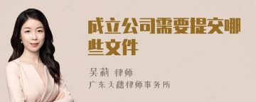 成立公司需要提交哪些文件