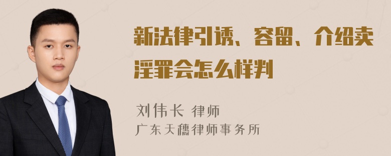 新法律引诱、容留、介绍卖淫罪会怎么样判