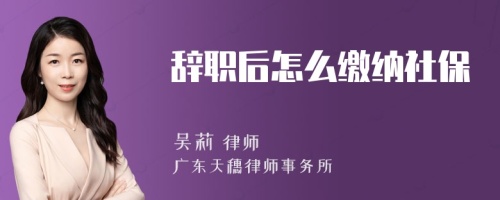 辞职后怎么缴纳社保