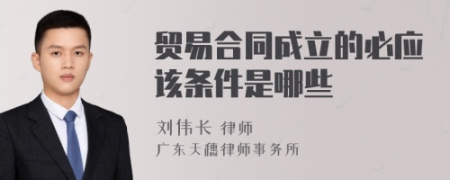 贸易合同成立的必应该条件是哪些