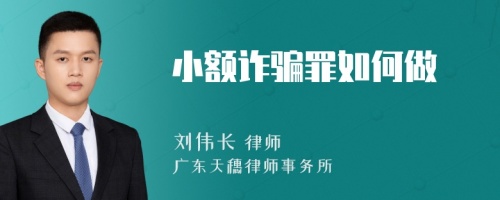 小额诈骗罪如何做