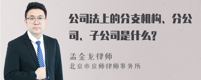 公司法上的分支机构、分公司、子公司是什么?