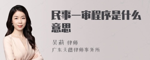 民事一审程序是什么意思