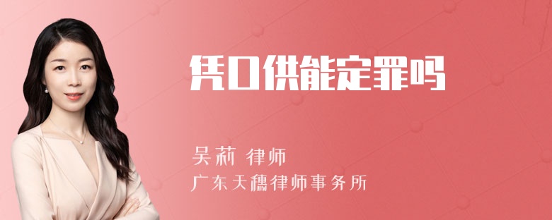 凭口供能定罪吗