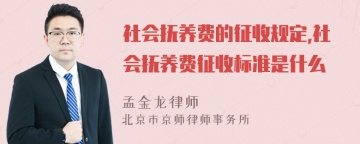 社会抚养费的征收规定,社会抚养费征收标准是什么