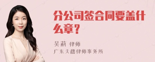 分公司签合同要盖什么章？