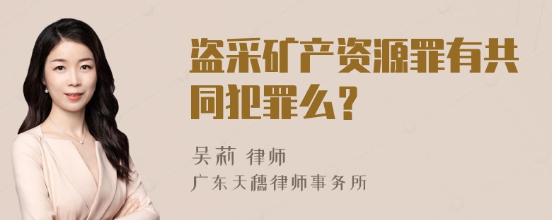 盗采矿产资源罪有共同犯罪么？