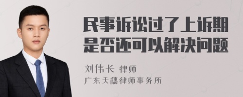 民事诉讼过了上诉期是否还可以解决问题