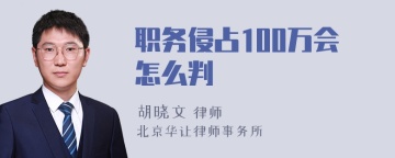 职务侵占100万会怎么判