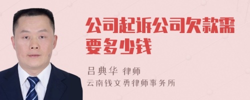 公司起诉公司欠款需要多少钱