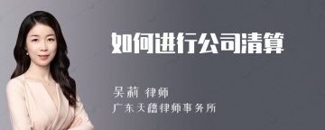 如何进行公司清算