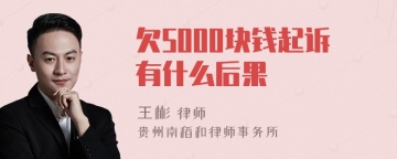 欠5000块钱起诉有什么后果