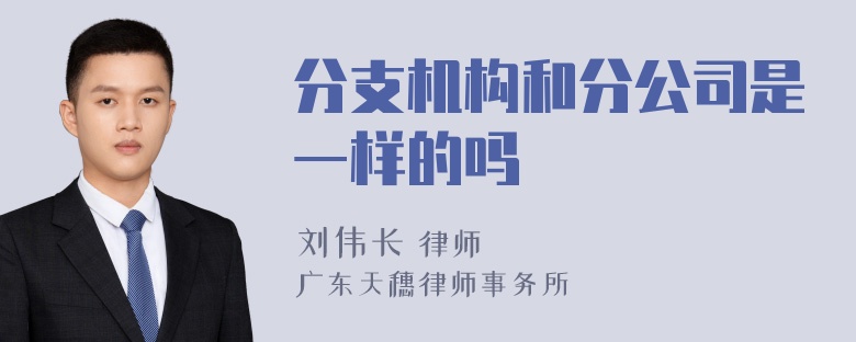 分支机构和分公司是一样的吗