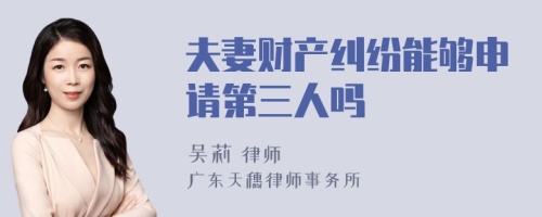 夫妻财产纠纷能够申请第三人吗