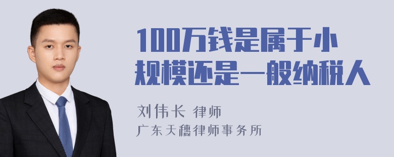 100万钱是属于小规模还是一般纳税人