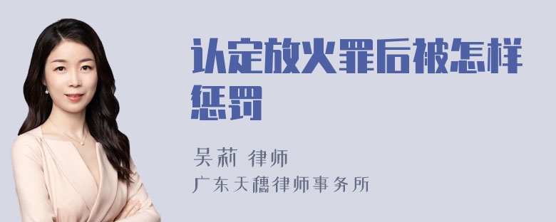 认定放火罪后被怎样惩罚