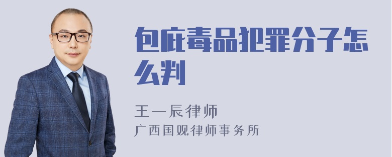 包庇毒品犯罪分子怎么判