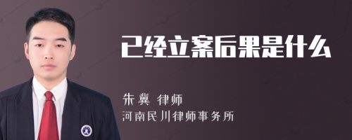 已经立案后果是什么