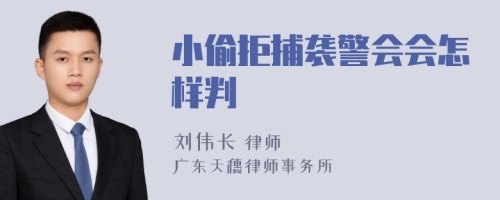 小偷拒捕袭警会会怎样判