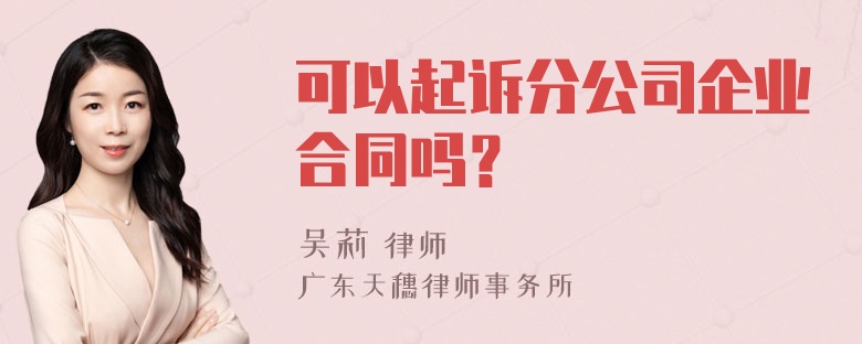 可以起诉分公司企业合同吗？