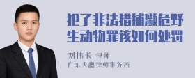 犯了非法猎捕濒危野生动物罪该如何处罚