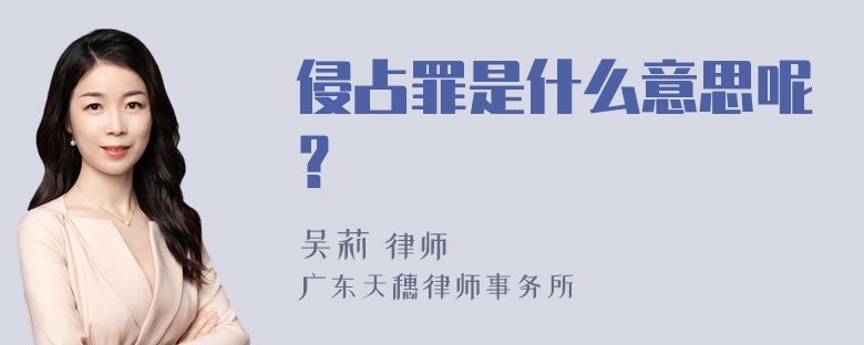 侵占罪是什么意思呢？