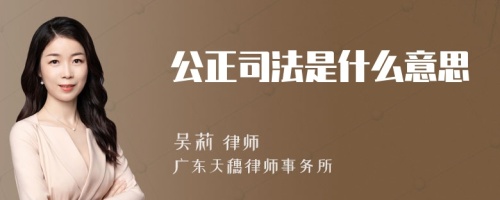 公正司法是什么意思