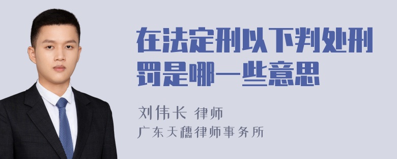 在法定刑以下判处刑罚是哪一些意思