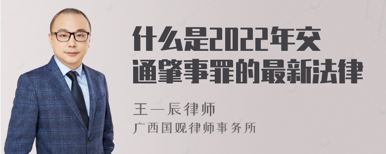 什么是2022年交通肇事罪的最新法律