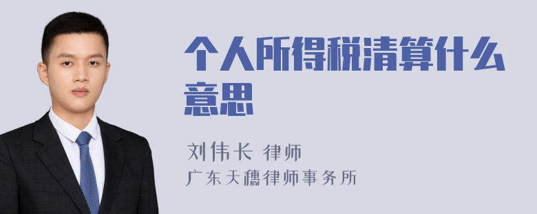 个人所得税清算什么意思