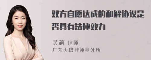 双方自愿达成的和解协议是否具有法律效力