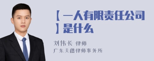 【一人有限责任公司】是什么