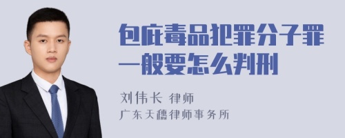 包庇毒品犯罪分子罪一般要怎么判刑