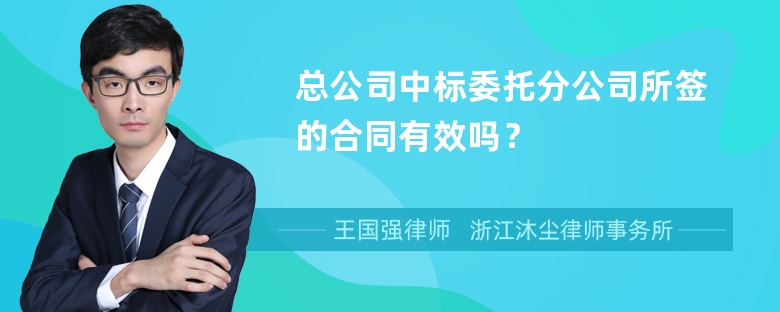 总公司中标委托分公司所签的合同有效吗？