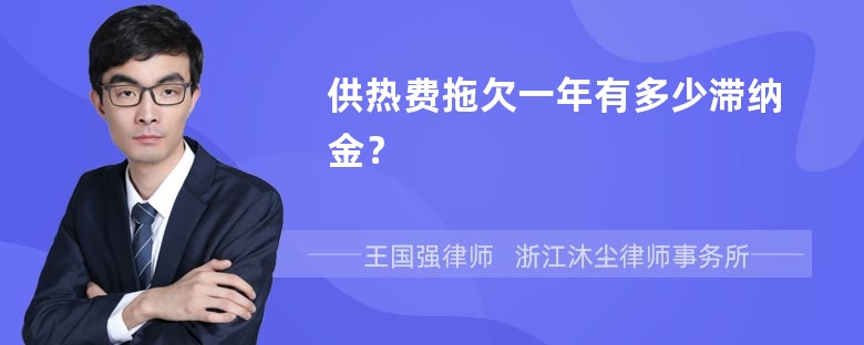 供热费拖欠一年有多少滞纳金？