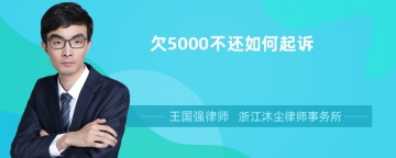 欠5000不还如何起诉