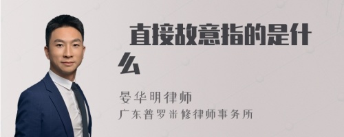  直接故意指的是什么