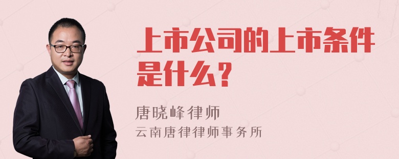 上市公司的上市条件是什么？