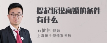 提起诉讼离婚的条件有什么