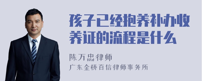 孩子已经抱养补办收养证的流程是什么