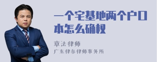 一个宅基地两个户口本怎么确权