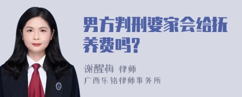 男方判刑婆家会给抚养费吗?