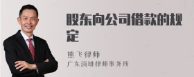 股东向公司借款的规定