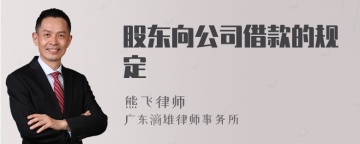 股东向公司借款的规定